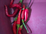 Gulai Daging Sapi