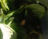 A picture of step 3 of Pesto creamy veggie salad.