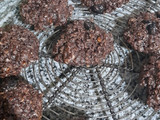 Galletitas de avena y cacao con pasas de uva