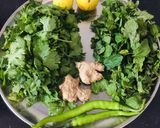 લીલી ચટણી(Green Chutney recipe in gujarati) રેસીપી સ્ટેપ1ફોટો