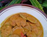 Foto langkah ke 5 dari resep Kare Jengkol Hula-Hula.