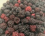 A picture of step 1 of #ChooseToCook Damson and blackberry cheese.