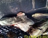 Foto del paso 2 de la receta: Matambre a la pizza