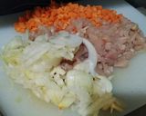 Foto langkah ke 1 dari resep Zoupa Soup.