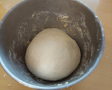 Foto del paso 4 de la receta: Pan rústico