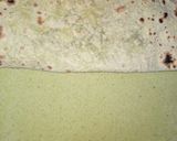 A picture of step 5 of Palak wali Roti.
