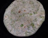 मटर पराठा (matar paratha recipe in Hindi) रेसिपी चरण 6 फोटो