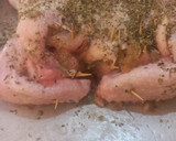 Foto del paso 3 de la receta: Pollo Relleno de Cebolla y Queso al Limón