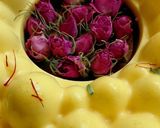 عکس مرحله 2 از دستور پاناکوتا سه رنگ