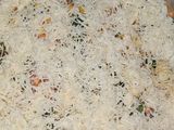 व्हेज चीजी लजानिया (veg cheese lasagna recipe in marathi)