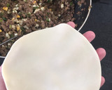 Foto del paso 6 de la receta: Empanadinguis de carne!