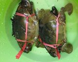 Foto langkah ke 1 dari resep Tumis Suwir Daging Kepiting.
