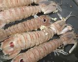 Foto del paso 2 de la receta: Fideuà de galeras y gambitas, al azafrán