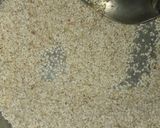 A picture of step 1 of Dalia upma.