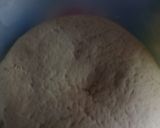 Foto del paso 19 de la receta: Pizza 🤤