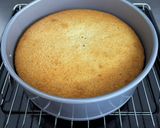 A picture of step 17 of Lemon Poppy Seed Cake.