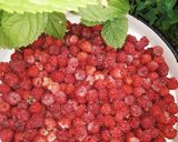 Málnalekvár recept fázis 1 fotója