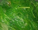 પાલક-પનીર સબ્જી (Palak-paneer sabji in Gujarati) રેસીપી સ્ટેપ1ફોટો