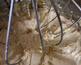 Foto del paso 2 de la receta: Galletas de doble chocolate