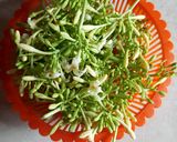 Foto langkah ke 1 dari resep Tumis Bunga Pepaya Ebi.