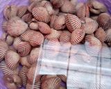 Foto langkah ke 1 dari resep Kerang Dara Rebus.