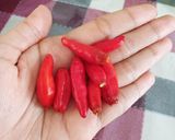 Foto langkah ke 1 dari resep Lodeh Nangka Muda (Tewel) Ala ndeso.