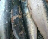 Foto del paso 1 de la receta: Conserva sardinas horneadas (anda para todo pescado)