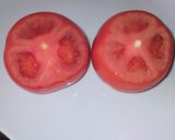 Foto del paso 3 de la receta: Tomates rellenos de carne y verduras con costron de queso