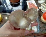 Hình bước làm 1 của món Bữa trưa vui vẻ