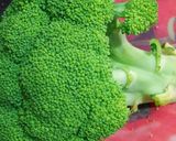 صورة لخطوة 2 من وصفة مكرونة القمح الكامل🌾 بالبروكلي🥦 و الروبيان🍤