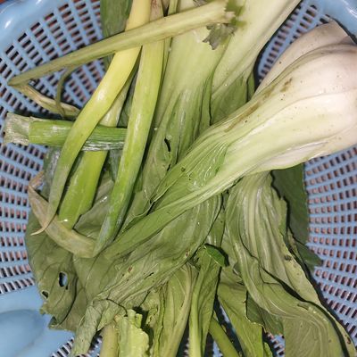 Langkah 2