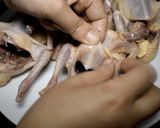 صورة لخطوة 2 من وصفة لو الحمام بيفرقع منك تعالي نعمله علي اصوله من الالف للياء مطبخ ساسي