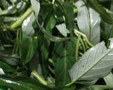 Foto langkah ke 1 dari resep 327. Tumis Kangkung Saus Tiram.