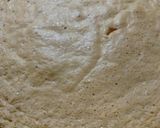 Foto del paso 4 de la receta: Torta Sumergida