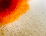 A picture of step 1 of Orange colour rice.