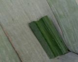 Foto langkah ke 2 dari resep Klemet Singkong.