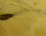 Foto langkah ke 3 dari resep Laksa.