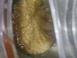 Muffin Vegano de Limón