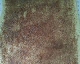 Foto langkah ke 5 dari resep Cinnamon Roll ekonomis.