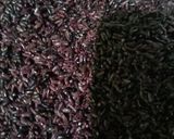 Foto langkah ke 1 dari resep Tape ketan hitam.