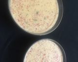 A picture of step 5 of Gajar ki kheer.