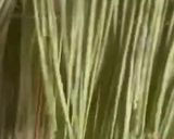 Foto del paso 6 de la receta: Tallarines de espinaca