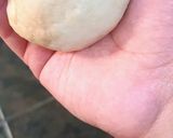 Foto del paso 3 de la receta: Pan de hamburguesa