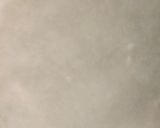 A picture of step 11 of Spring rolls.