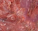 Foto del paso 1 de la receta: Tapa de asado arrollada y rellena