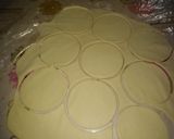 Foto del paso 5 de la receta: Tapa de empanadas con grasa
