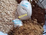 Cookies veganas de avena. 5' de Preparación. 15' de cocción #DMA