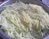 Foto langkah ke 1 dari resep Es Rujak Serut Mangga Muda.