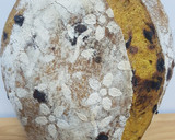 Foto del paso 1 de la receta: Batard con ajo negro y cúrcuma