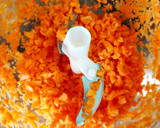 Foto del paso 1 de la receta: Croquetas de zanahoria 🥕